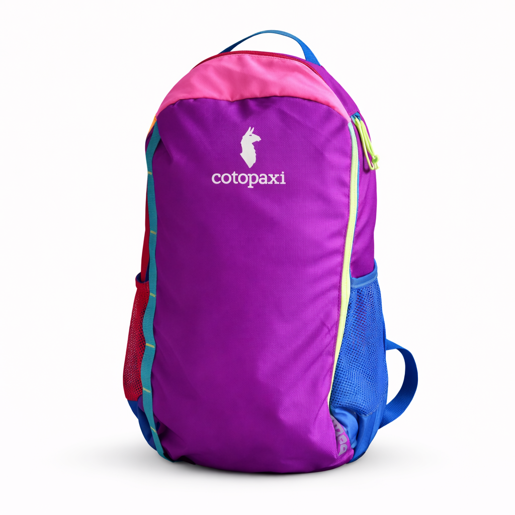 Lightweight travel backpack for flights and carry on Purple backpack with pink and blue accents,